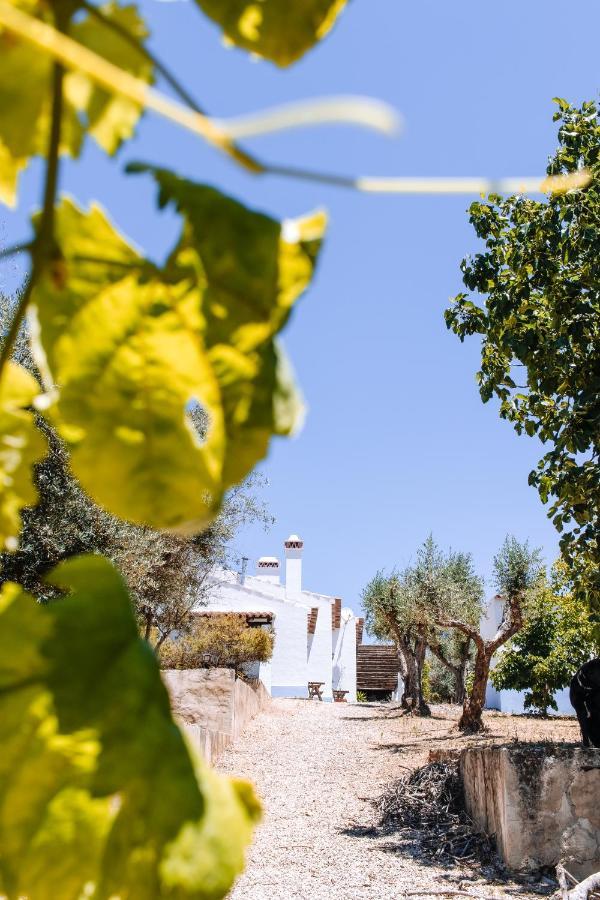 Maison d'hôtes Monte Do Pomar à Redondo Extérieur photo
